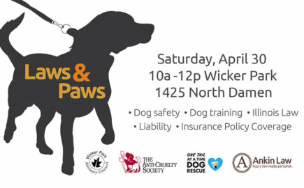 Laws & Paws