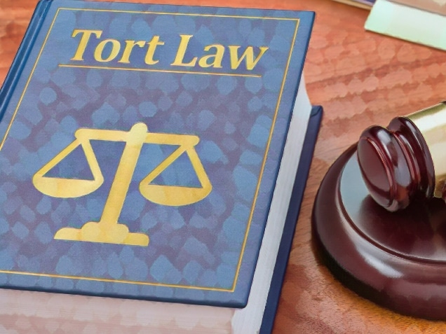 A law book with a gavel - Tort law