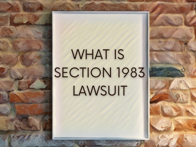 board with what is section 1983 lawsuit text