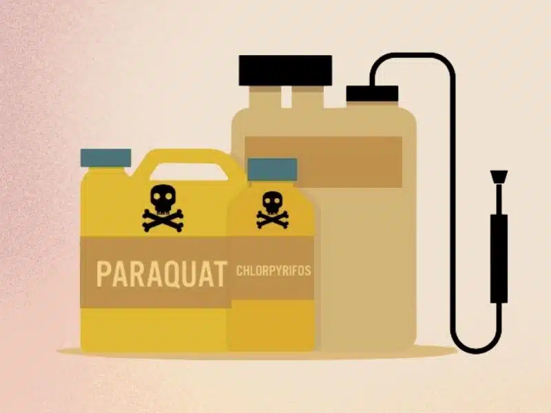 Prohibition paraquat chemical fertilizer vector. Prove paraquat exposure
