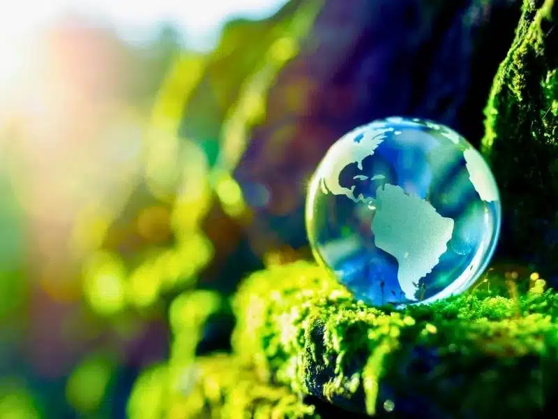Glass globe in the in nature concept for environment and conservation. What is the PFAS lawsuit?