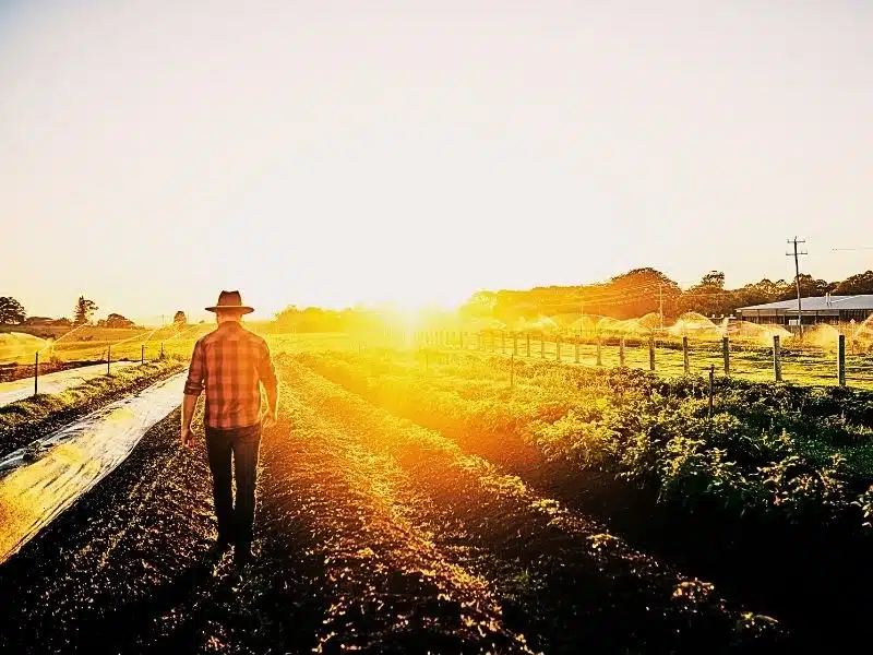 Rearview shot of a male farmer tending to his crops on the farm. Who qualifies for Roundup lawsuit?