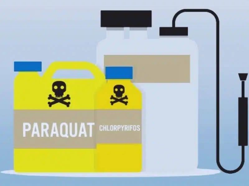 Prohibition paraquat chemical fertilizer vector. Who qualifies for the paraquat lawsuit.